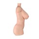 Torso SexDoll LoveNestle – Aubrey - 26.37in / 67cm