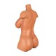 Torso SexDoll LoveNestle – Aubrey Tan - 26.37in / 67cm