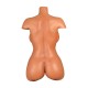 Torso SexDoll LoveNestle – Aubrey Tan - 26.37in / 67cm