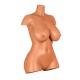 Torso SexDoll LoveNestle – Aubrey Tan - 26.37in / 67cm