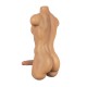 Torso Male LoveNestle – Chris Tan - 21.65in / 55cm