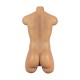 Torso Male LoveNestle – Chris Tan - 21.65in / 55cm