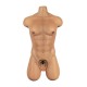 Torso Male LoveNestle – Chris Tan - 21.65in / 55cm