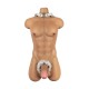 Torso Male LoveNestle – Chris Tan - 21.65in / 55cm