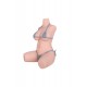 Ready to ship - Torso Sex Doll Joyotoy – Mona Fair - 29.53in / 75cm