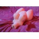 Ready to ship - Torso Sex Doll Joyotoy – Rosaline Fair - 16.14in / 41cm