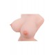 Ready to ship - Torso Sex Doll Joyotoy – Lena Fair - 19.88in / 50.5cm