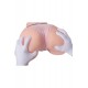 Ready to ship - Realistic Buttocks Torso Joyotoy – Eyna Fair - 12.2in / 31cm