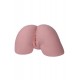 Ready to ship - Realistic Buttocks Torso Joyotoy – Eyna Wheat - 12.2in / 31cm