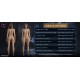FunWest Doll molded in TPE - Assos – 5.2ft (159cm) A-Cup