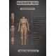 Real Love Doll Galatea Doll - Yuni 2d version – 5.4ft (162cm)