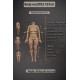 Realistic Sex Doll Galatea Doll - Zania – 5.6ft (167cm)