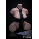Ready to ship - Torso Sex Doll Erovenus – Hannah - 13.58 in / 34.5 cm