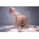 Ready to ship - SEDoll Full Silicone - Yuuka – 5.4ft (165cm) C-CUP