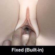 Fixed (Built-in)