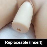 Replaceable (Insert)